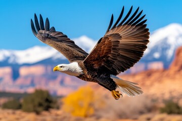 Obraz premium A dynamic shot of an eagle capturing prey in a field, its wings in mid-flap as it takes flight