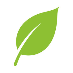 green leaf isolated on white