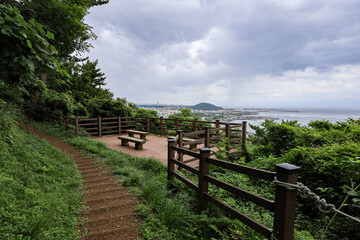 산 정상을 올라가는 숲 길 제주 서귀포시 표선면 성읍리 백약이오름