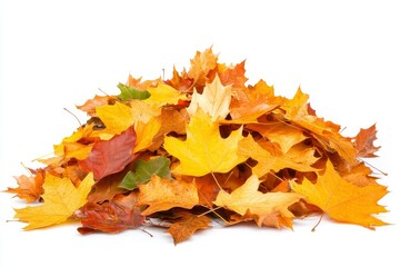 Vibrant Autumn Leaves Piled Together on a White Background, Capturing the Essence of Fall with Rich Colors and Crunchy Textures