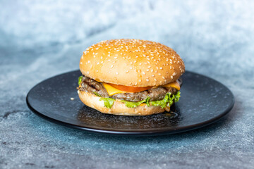 Beef Cheese Burger topping with sesame seed served in dish plate isolated on grey background side view of Indian and Bangladeshi food