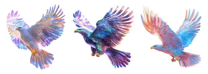 Obraz premium Colorful Birds with Transparent Background