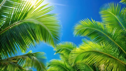 Vibrant green palm tree leaves against a clear blue sky, tropical, foliage, nature, palm fronds, exotic, vibrant, lush