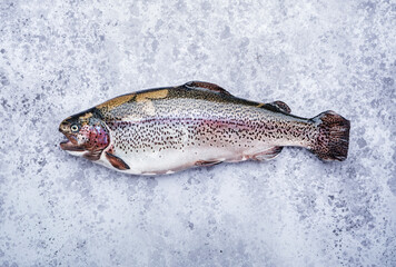 Fresh rainbow trout on grey table background, top view