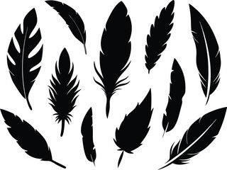 Elegant Feather Silhouettes – Black Vector Illustration.