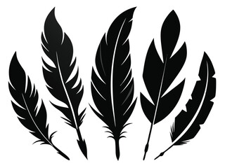 Obraz premium Elegant Feather Silhouettes – Black Vector Illustration.