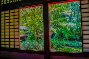 緑の景色が広がる窓からの眺め