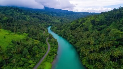Lush Tropical River  Winding Road  Jungle Landscape  Aerial View  Serenity  Nature