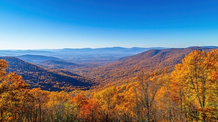 Fototapeta premium autumn landscape with vibrant fall foliage and clear blue sky