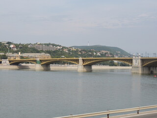 Fototapeta premium Margit híd - Danube - Budapest - Hungary