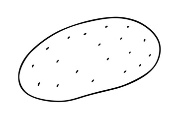 A potato with skin texture line art illustration