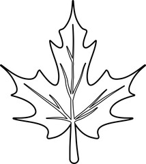 Fototapeta premium Maple leaf coloring outline vector