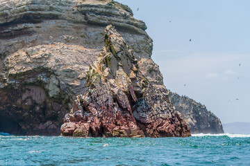Island View of Paracas, Peru