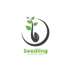Creative Seed Concept Logo Design Template