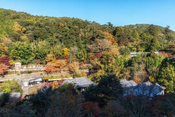Fototapeta premium Izu mountain and hill fall foliage view