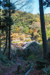 Izu mountain and hill fall foliage view