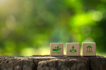 ESG environmental, social and governance. ESG on a wood block with a green background.ESG...