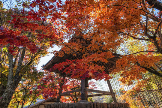 Shoro Shuzenji Temple Bell Tower