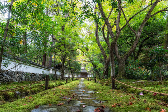 Saihoji Kokedera Temple