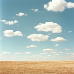 Obraz premium Golden Wheat Field Under a Blue Sky with Clouds