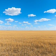 Golden Wheat Field Under a Blue Sky (1)