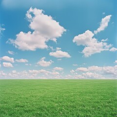 Obraz premium Serene Green Field Under Blue Sky with Clouds (1)