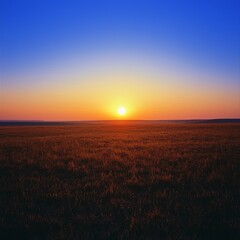 Fototapeta premium Serene Sunset over Golden Prairie Landscape