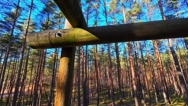 Wooden beams of a firewatch tower with a dense pine forest in the background under a bright blue sky
