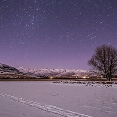 Winter Night Sky over Snowy Field and Mountains
