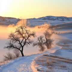 Winter Sunrise over Snowy Valley and Trees