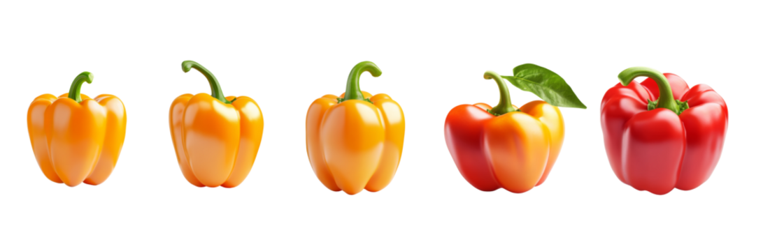 Set of Colorful bell peppers on a transparency background fresh produce display culinary concept