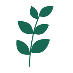 Wild Flower Decoration