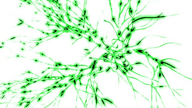 Animation of the activity of neurons and synapses design