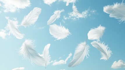 Obraz premium 58.Crisp 3D image of white feathers suspended in a clear blue sky, each feather gracefully drifting as if carried by a gentle breeze; the arrangement feels airy and calm, perfect for creating a
