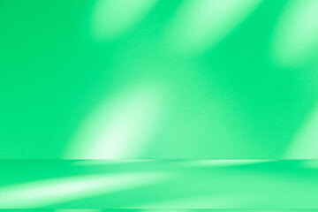 Wall interior background, studio and backdrops show products. with leaf shadow from window color green and white. background for text insertion and presentation of product	
