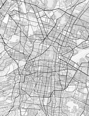 Obraz premium Map of Mexico City, Mexico. Perfect for posters, printing, wallpaper, and home decor. Maps with monochrome and black and white styles, suitable for those who want to customize