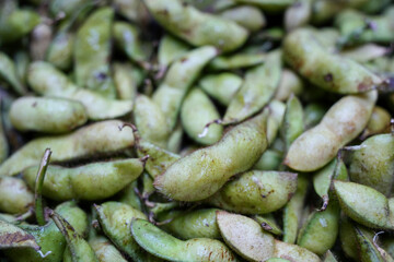 秋の味覚が詰まった丹波黒枝豆