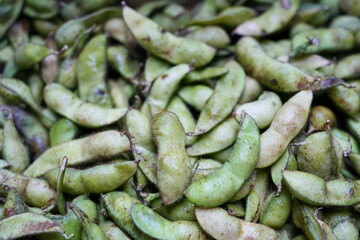 秋の味覚・豊かな味わいの丹波黒枝豆