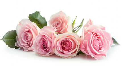 Fototapeta premium pink roses bouquet