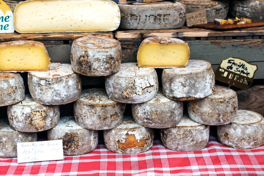 Assortment of local cheese at market, Provence, France