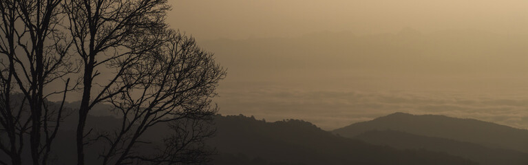landscape and travel concept with sunrise and layer of mountain and mist with forest on morning