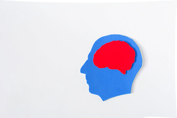 The silhouette of a human head with a brain highlighted in red on a light background.