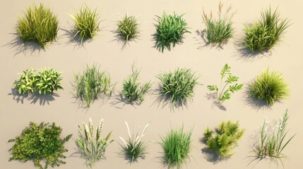 24.A collection of grass types bundled together, with each asset depicting a unique arrangement of blades in various shades of green. The grasses range from short, manicured patches to wild, fuller