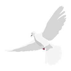dove of peace