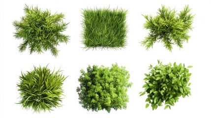 9.Isolated green grass bushes in a vector style on a white background, each bush presented in varying shades of green to highlight depth and texture. The grass blades are layered closely, creating a