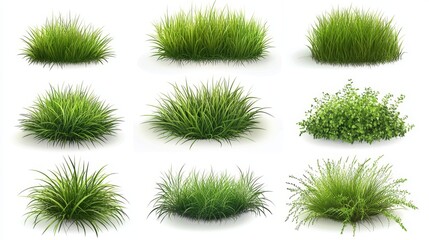 9.Isolated green grass bushes in a vector style on a white background, each bush presented in varying shades of green to highlight depth and texture. The grass blades are layered closely, creating a