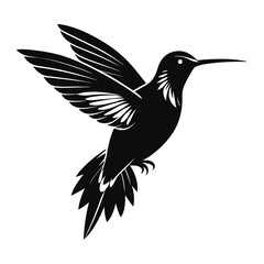 Hummingbird silhouette vector, Flying bird illustration. Hummingbird icon.  