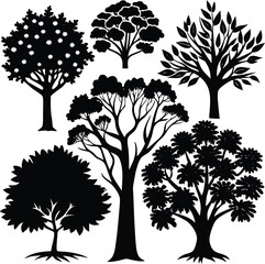 Obraz premium Detailed tree silhouettes design