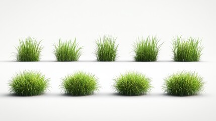10.A series of green grass bushes on a blank white canvas, each bush rendered with clean, smooth lines and a range of green tones to highlight texture. The rounded clusters of grass blades give a