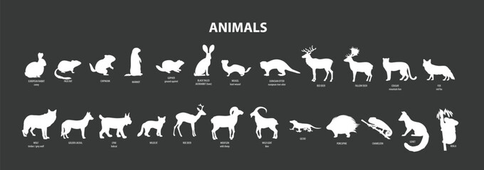 animals vector set